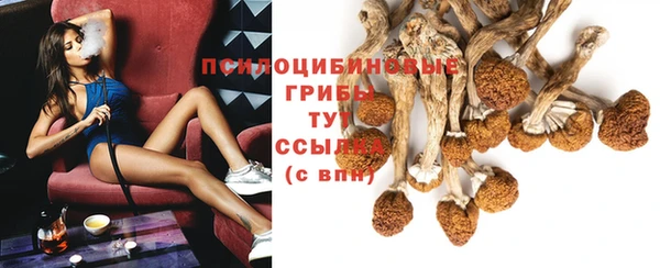 spice Заводоуковск