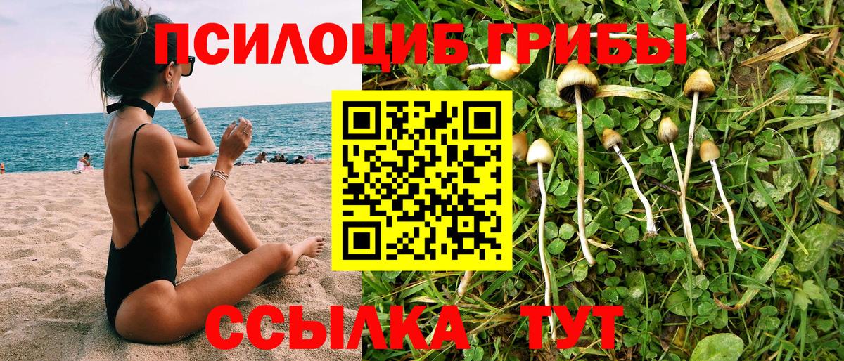 Псилоцибиновые грибы Magic Shrooms Наро-Фоминск